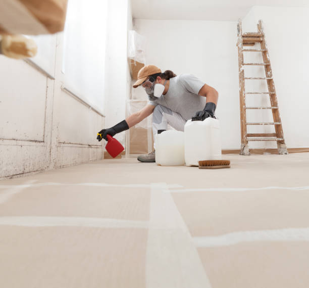 Best Post-Construction Mold Inspection  in Hawthorne, NV