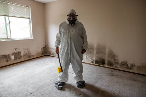 Best Asbestos and Lead Testing During Mold Inspection  in Hawthorne, NV